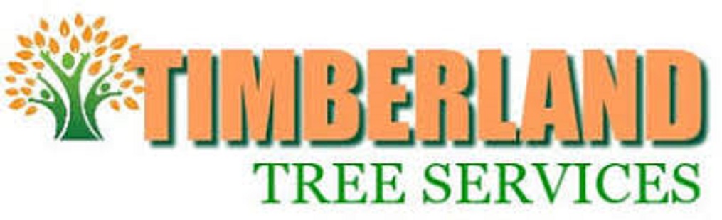timberland tree services logo